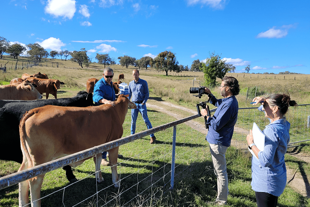 Rural Aid helps farming families to reboot