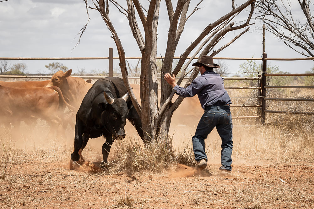 Rural Aid’s iconic photo competition opens