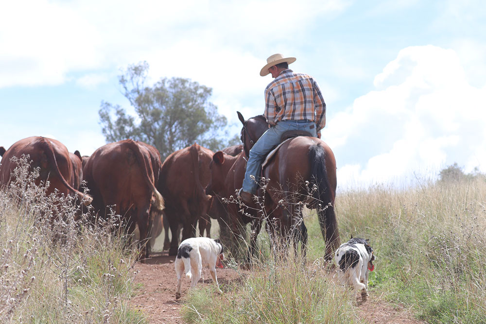 Rural Aid supports the Healthier Rural Australia Campaign