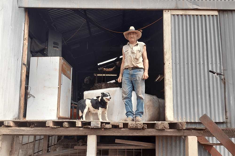 Support our Aussie Farmers this Christmas 