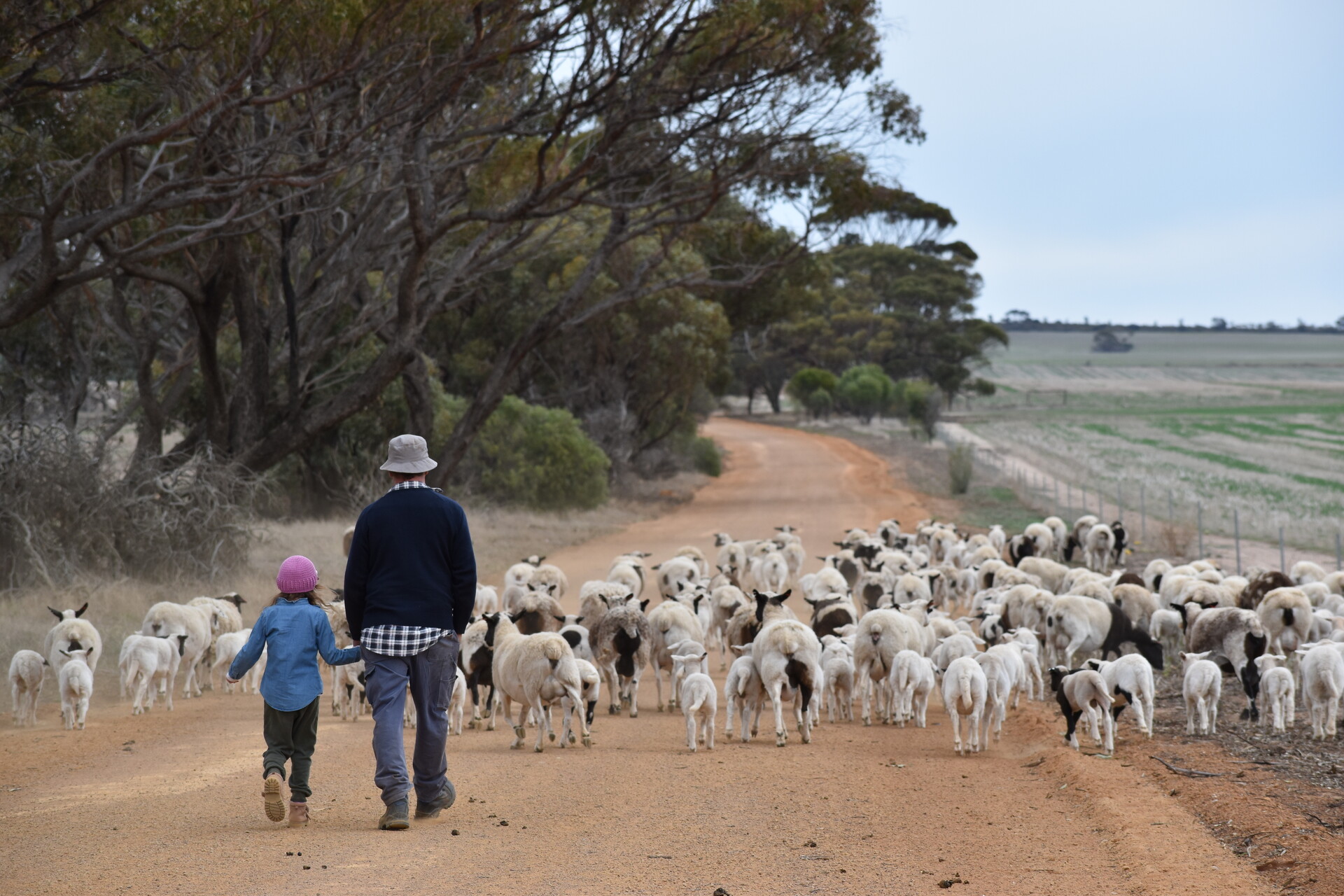 Empowered communities make stronger farmers: Rural Aid calls for connection in WA during Mental Health Week