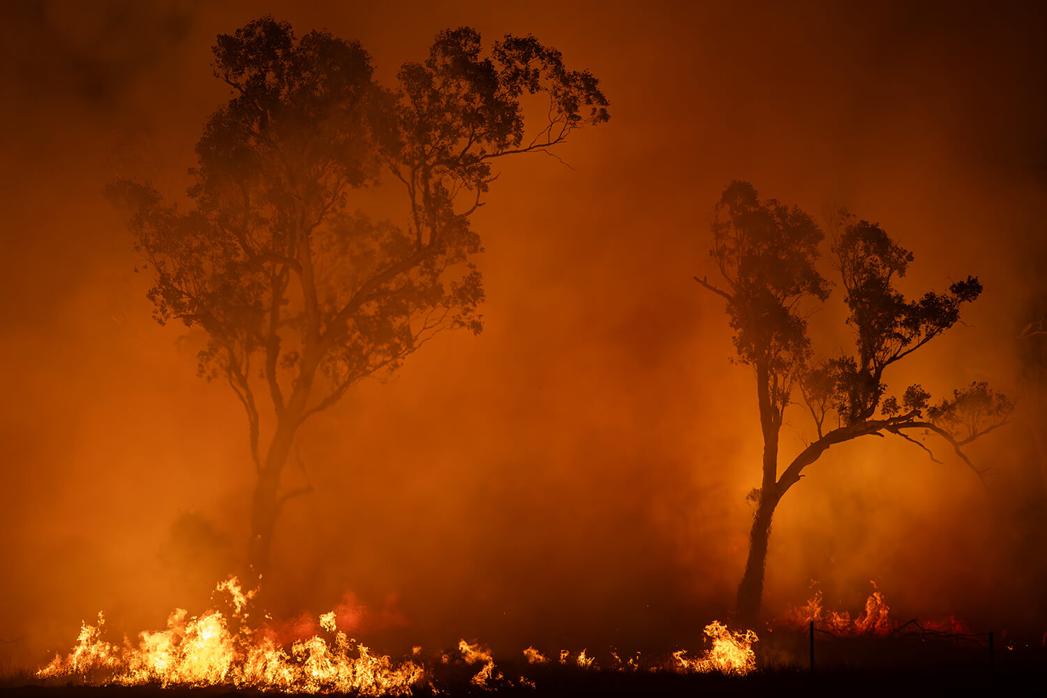 Rural Aid Ready to Support WA Farmers After Recent Bushfires