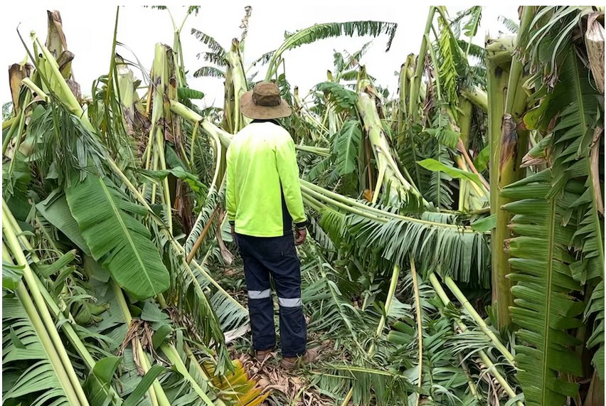 Rural Aid Ready to Support WA Farmers Following Ex-Tropical Cyclone Mitchell