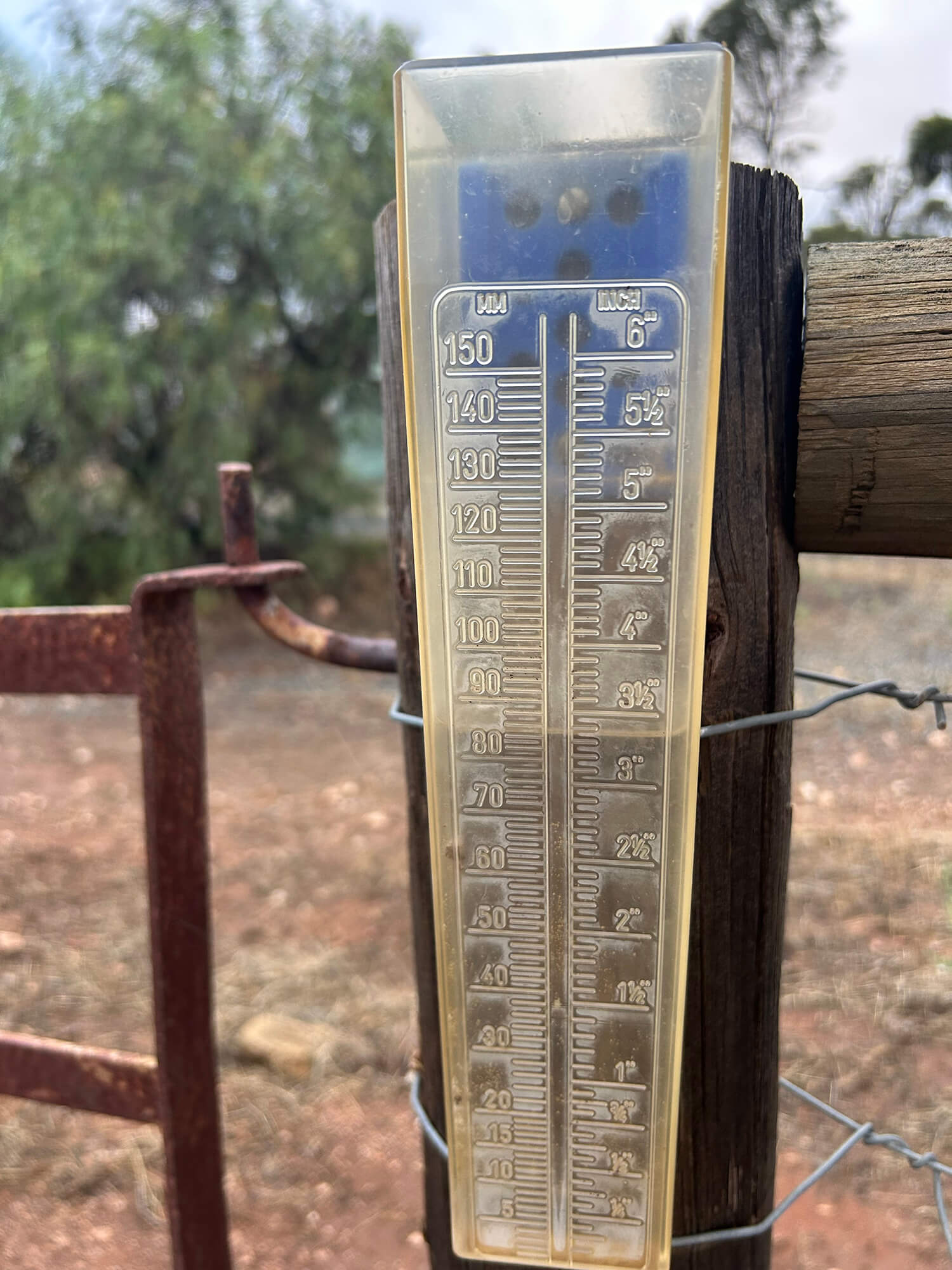 Rain Brings Cautious Optimism to Drought-Affected Farmers