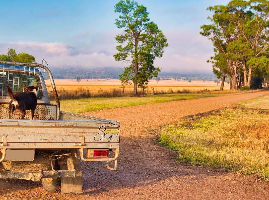 Drought intensifies across eastern Australia in “perfect storm” of rising costs and dry conditions