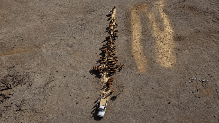 Drought conditions deepen across NSW and southern Queensland as demand ...