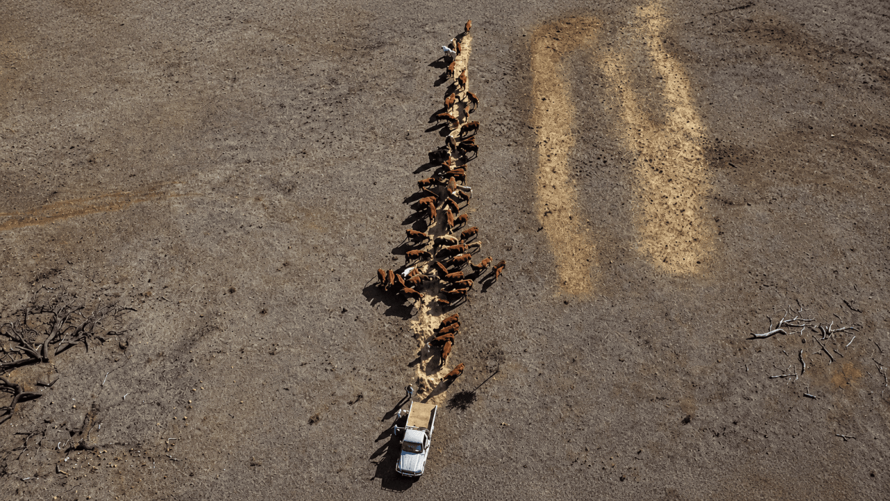 Drought conditions deepen across NSW and southern Queensland as demand for assistance grows