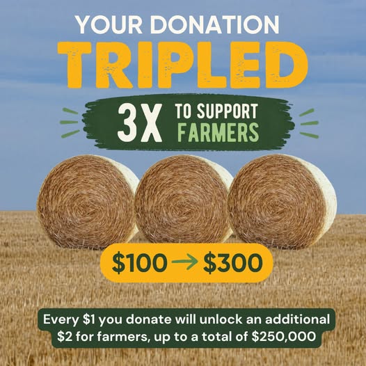 Rural Aid launches triple-match giving appeal as drought pressure intensifies