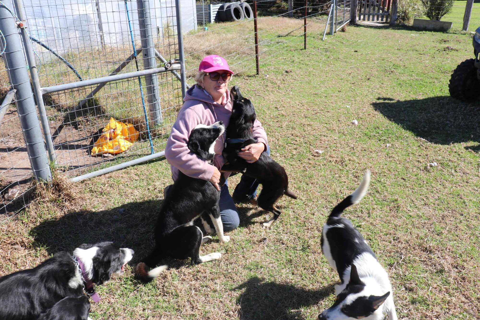 Months after disasters strike, Rural Aid continues supporting farmers through recovery