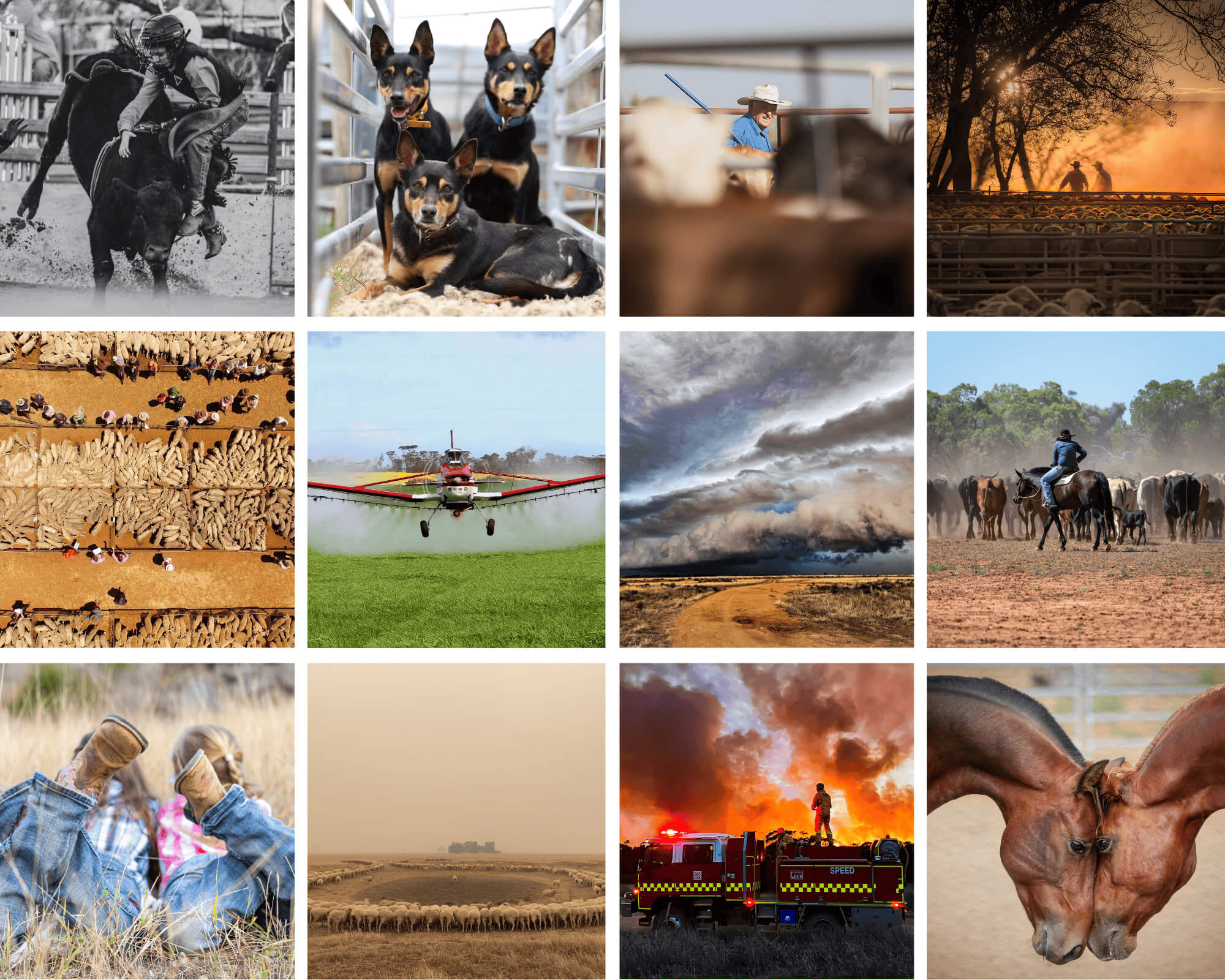 The spirit of the bush shines through in Rural Aid photography competition