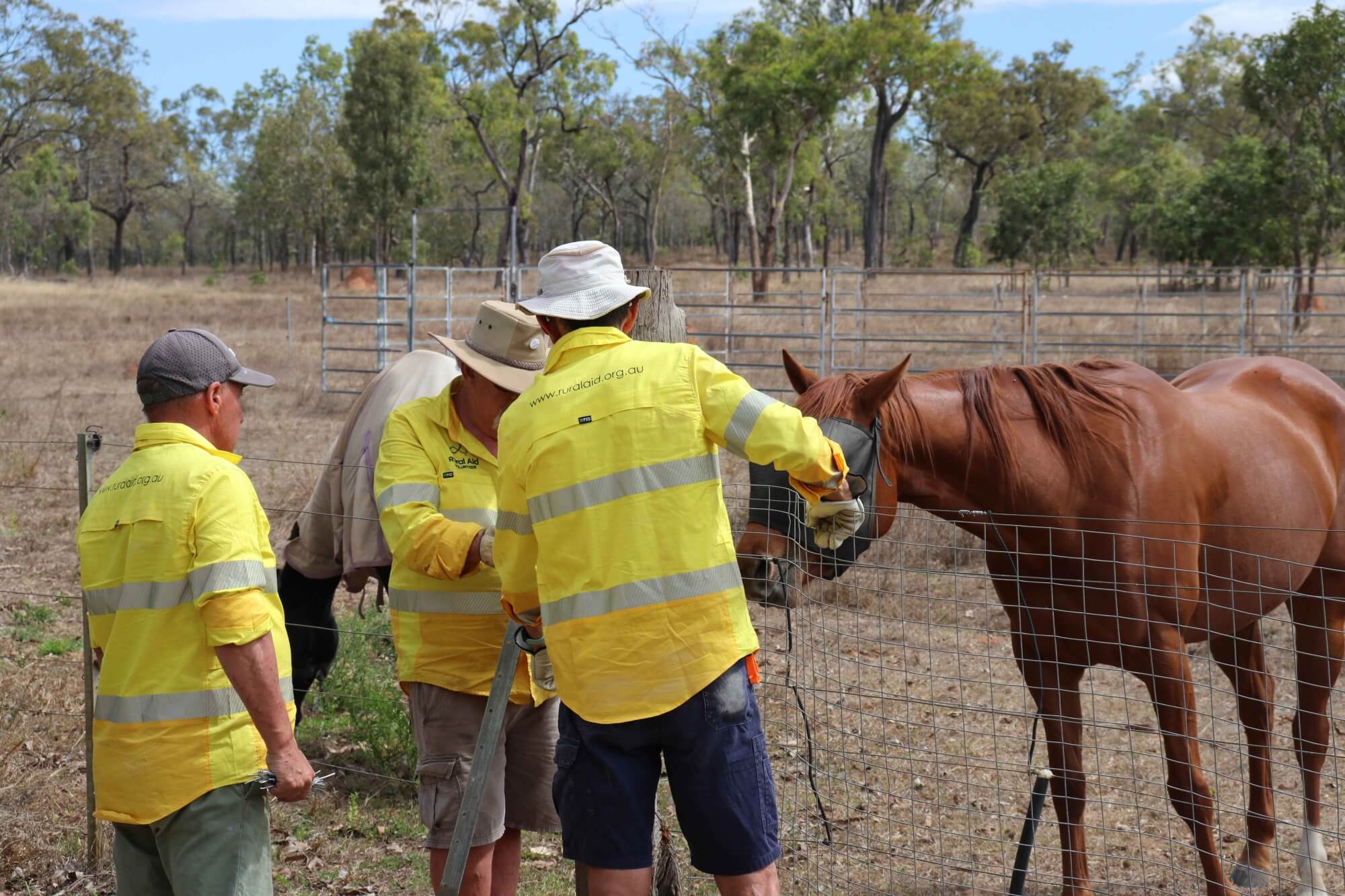 Kempsey farmers set to receive support through Rural Aid farm recovery event